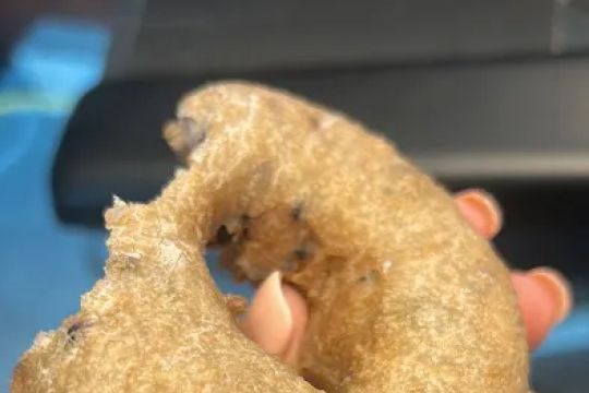O'Fashion Donuts Inc