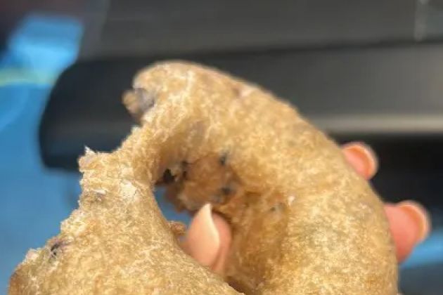 O'Fashion Donuts Inc