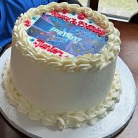 McArthur's Party Cakes ico