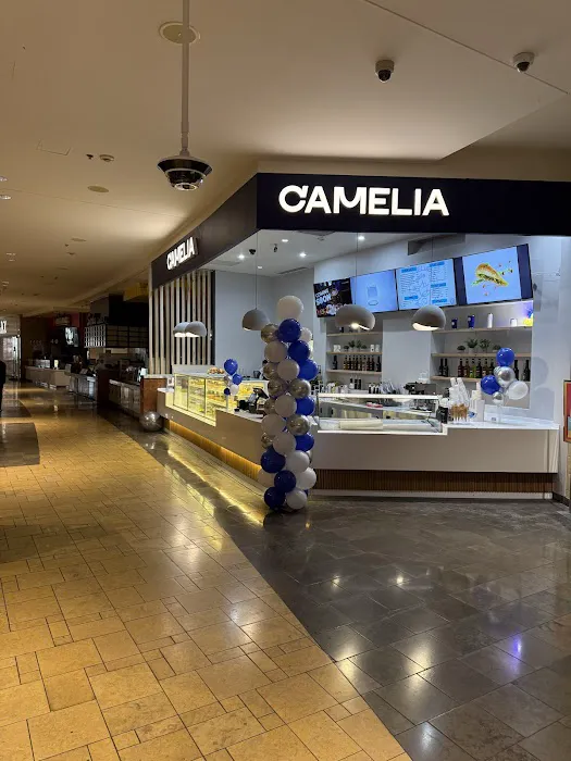 Camelia Picture 8