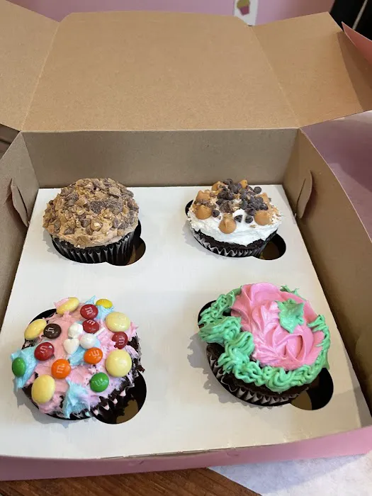 Cake Fusion – Decorated Cupcake & Cake Party Picture 9
