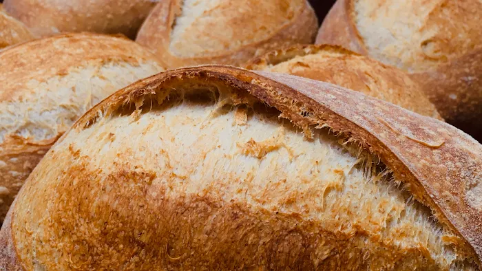 Mr. Meowski's Sourdough Picture 8