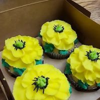 Cake Focused by Ivory ico