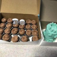 The Cupcake Lady Bakehouse, LLC ico