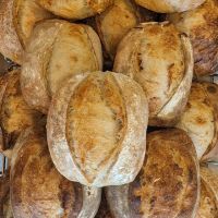 honest bread ico