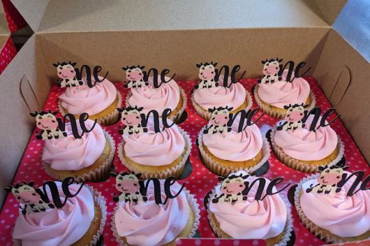 Smallcakes Chesterfield: A Cupcakery and Creamery St. Louis