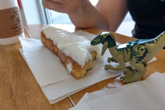 Donut Palace STL
