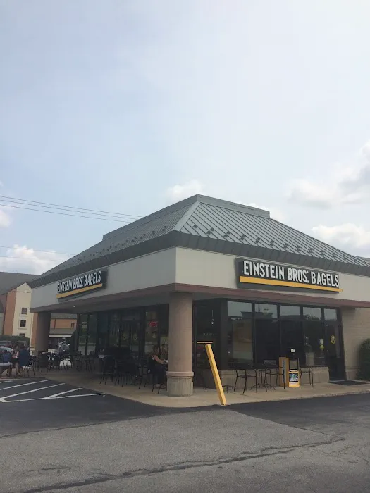 Einstein Bros. Bagels Picture 2