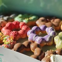 Mochi Donut Factory ico