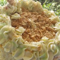 Sweet Edibles By Carrie LLC ico