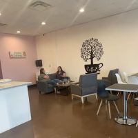 The Donut House ico