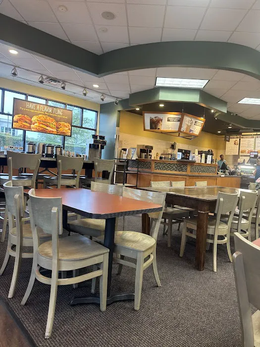 Einstein Bros. Bagels Picture 10