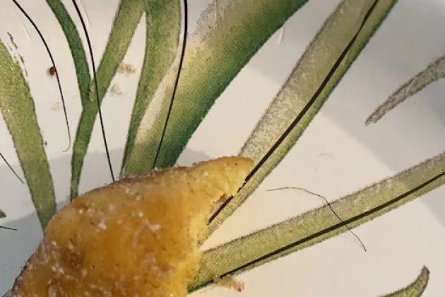 Reigning Doughnuts