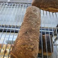 Verdant Bread ico