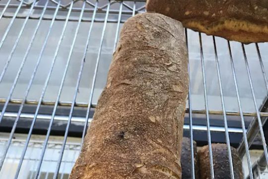 Verdant Bread