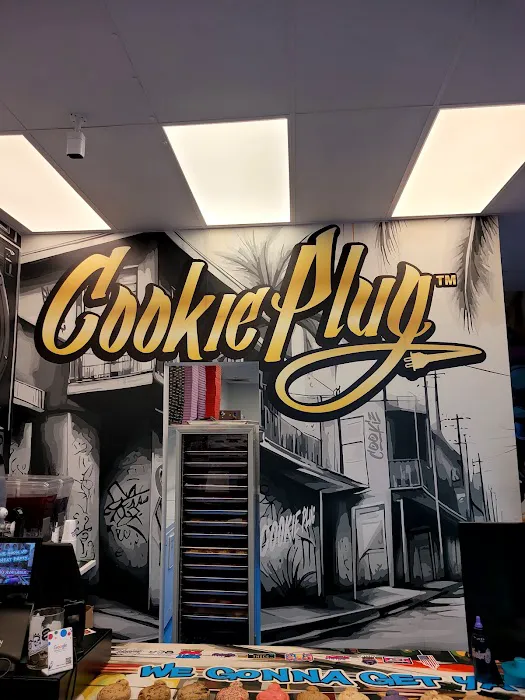 Cookie Plug Picture 3