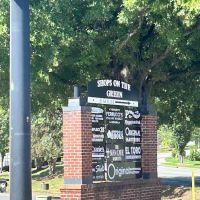 Shops on the green ico