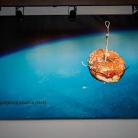 Red Donut Shop Welcome ico