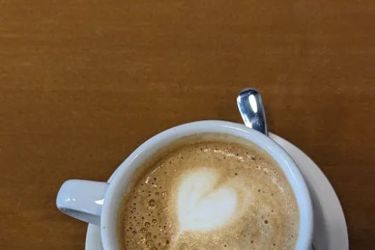 Camino Bakery