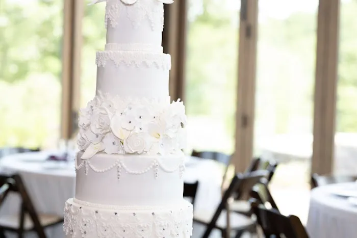 The Canvas Cake Studio Picture 1