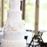 The Canvas Cake Studio ico