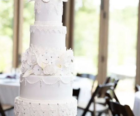 The Canvas Cake Studio