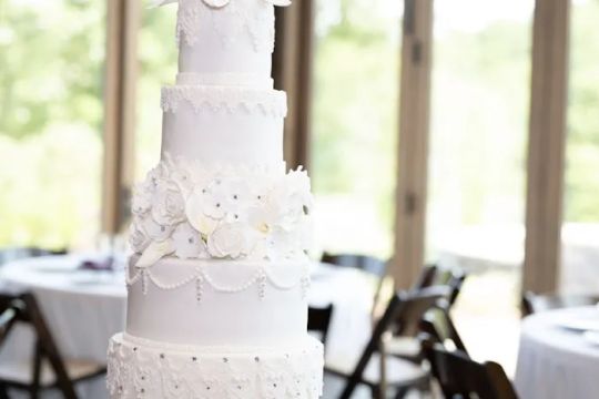 The Canvas Cake Studio
