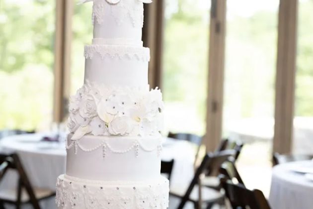 The Canvas Cake Studio