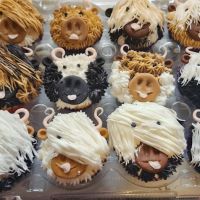 Soulfully Sweet Treats LLC. ico
