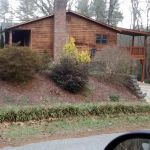 The Three Lab Bakery