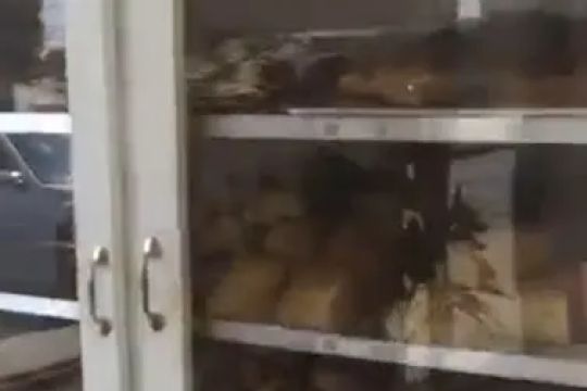 Panaderu00eda Odalys