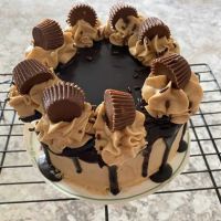 Sugar Shack Bakers LLC ico