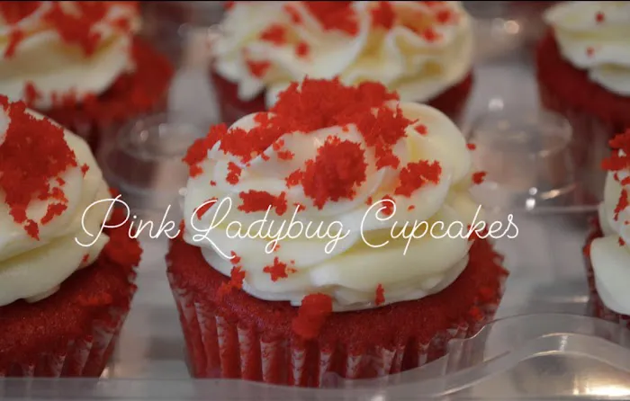 The Pink Ladybug Cupcakes Picture 7