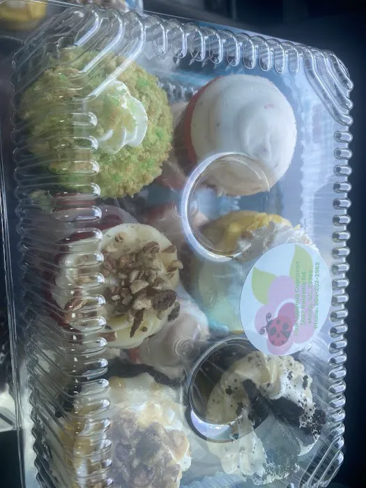The Pink Ladybug Cupcakes Picture 3