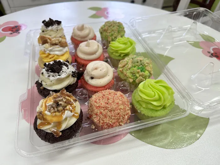 The Pink Ladybug Cupcakes Picture 10