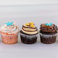 Wildflower Cupcake and Dessert Bar ico