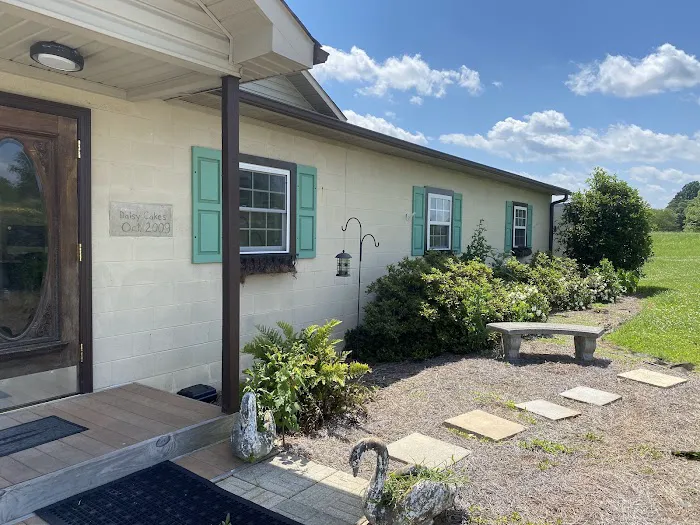 Daisy Cakes Picture 7