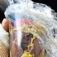 The Brownie Bar ico