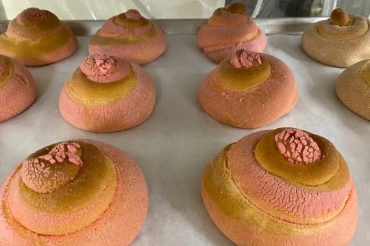 Panaderu00eda y Pasteleru00eda El Buen Sabor