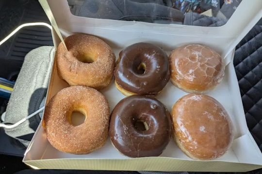 Donut World
