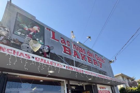 Las Hijas Del Gallo
