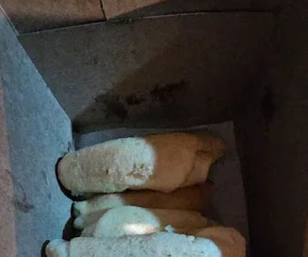 Señorita Bread