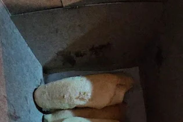 Señorita Bread