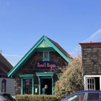 David's Bagels ico