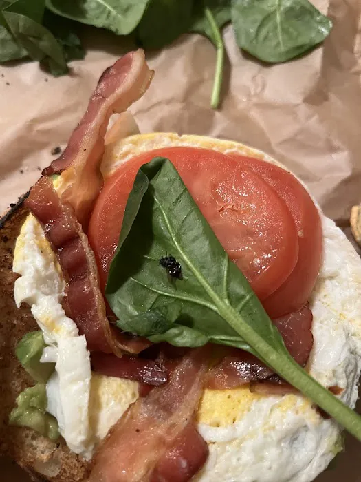 Noah's NY Bagels Picture 9