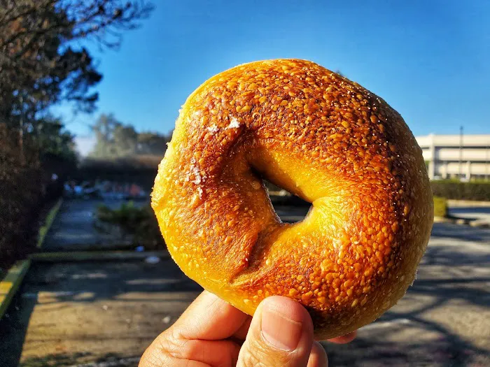 Chicken Dog Bagels Picture 4