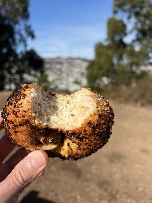 Chicken Dog Bagels Picture 9