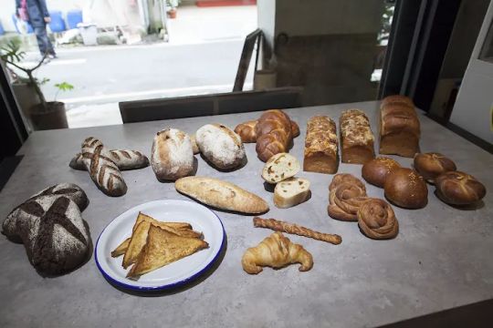 203 Octavia Blvd, San Francisco, CA 94102
