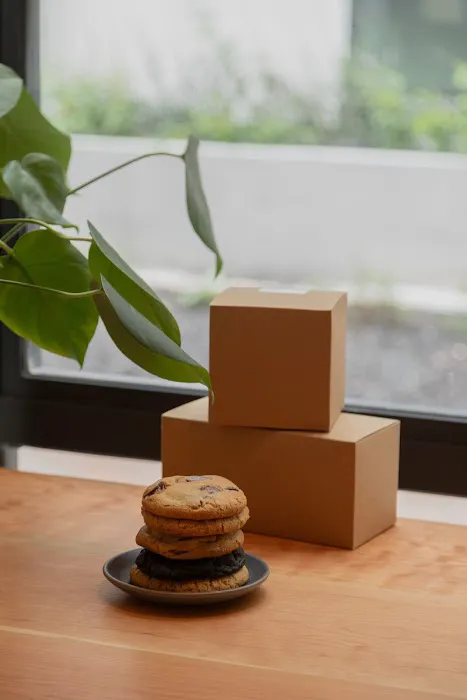 christine’s Picture 6