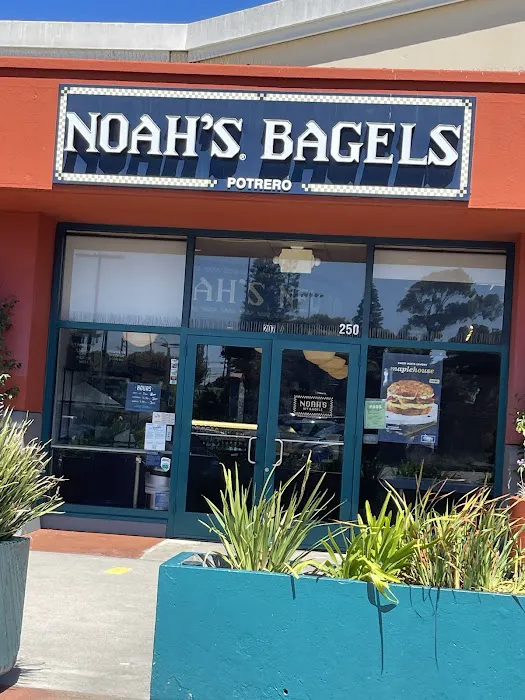 Noah's NY Bagels Picture 3